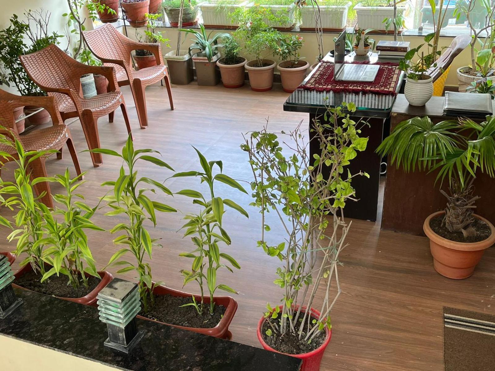 Hotel Shivashray Luxury Stays & Inn Ujjain Esterno foto